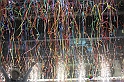 VBS_1157 - Cinema on ice 2023